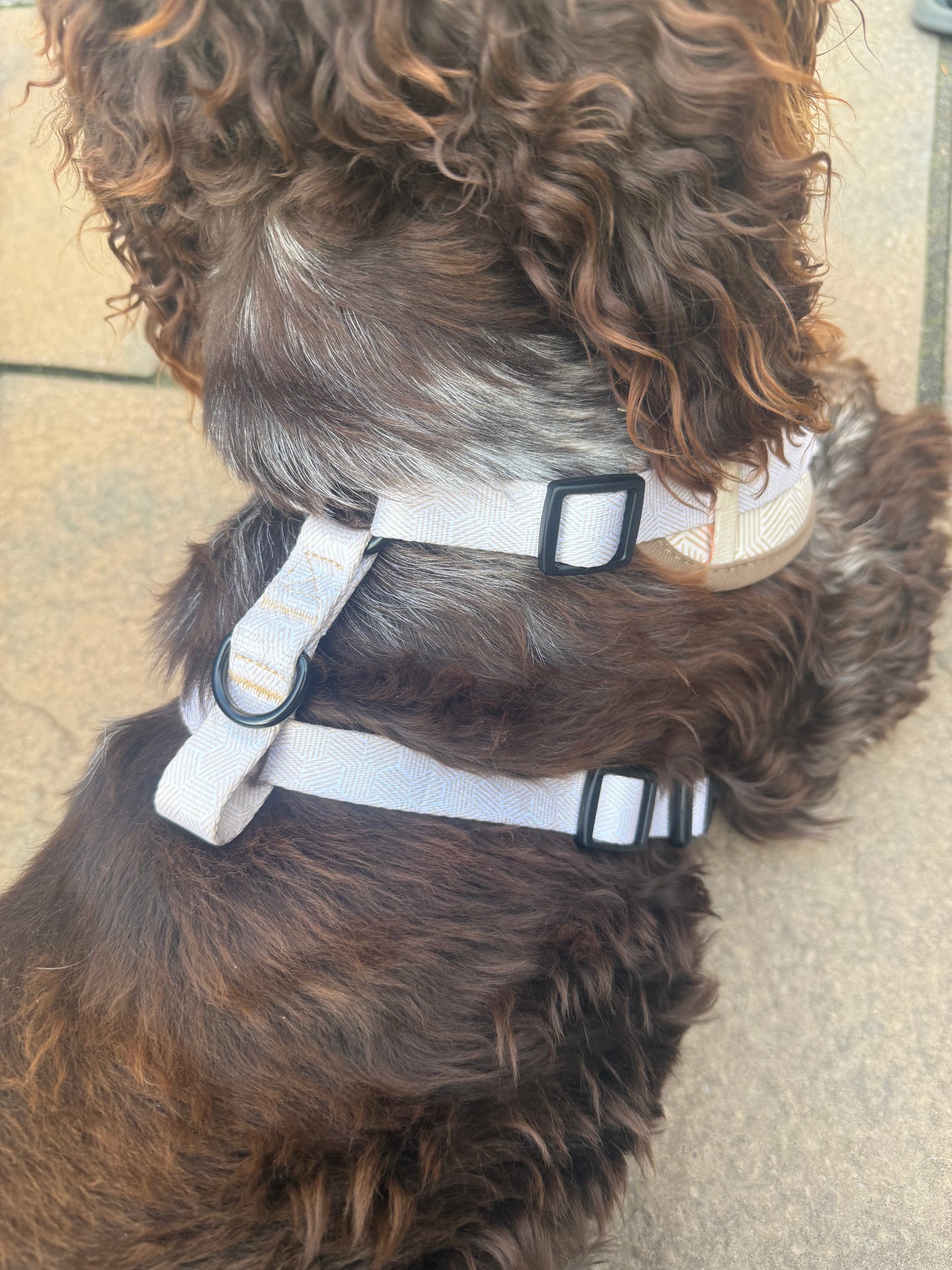 Adjustable Dog Harness- Desert Geo